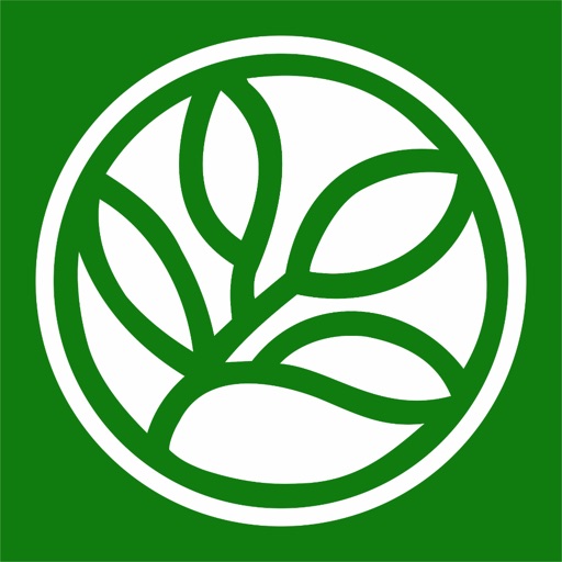 常青谷学院 Evergreen Valley College